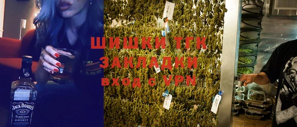 тгк Новозыбков