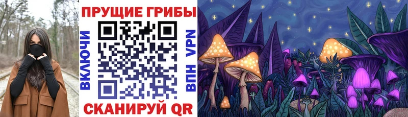 Галлюциногенные грибы мицелий  Звенигород 