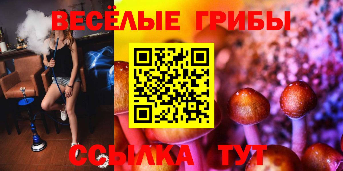 Псилоцибиновые грибы мухоморы Звенигород